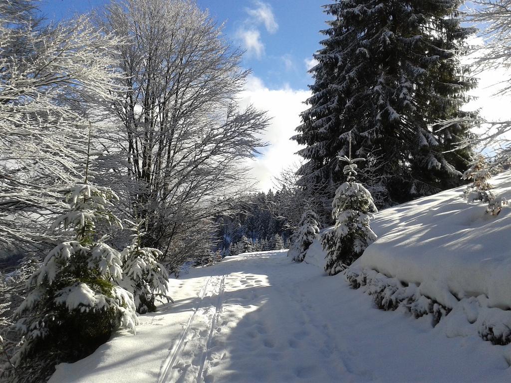 "Gutshof Lilienfein" - Medical Resort & Herbal Spa Im Suedschwarzwald Wieden Zewnętrze zdjęcie